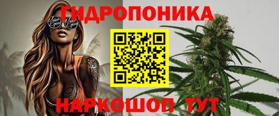 прущие грибы Кингисепп