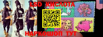 ГАЛЛЮЦИНОГЕННЫЕ ГРИБЫ Кандалакша