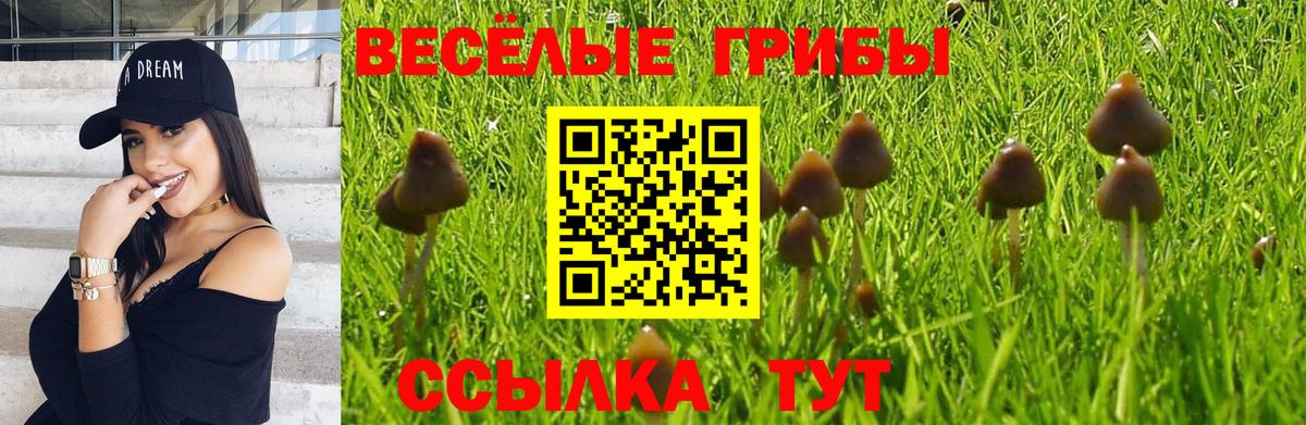 Псилоцибиновые грибы Psilocybine cubensis  Пыть-Ях 