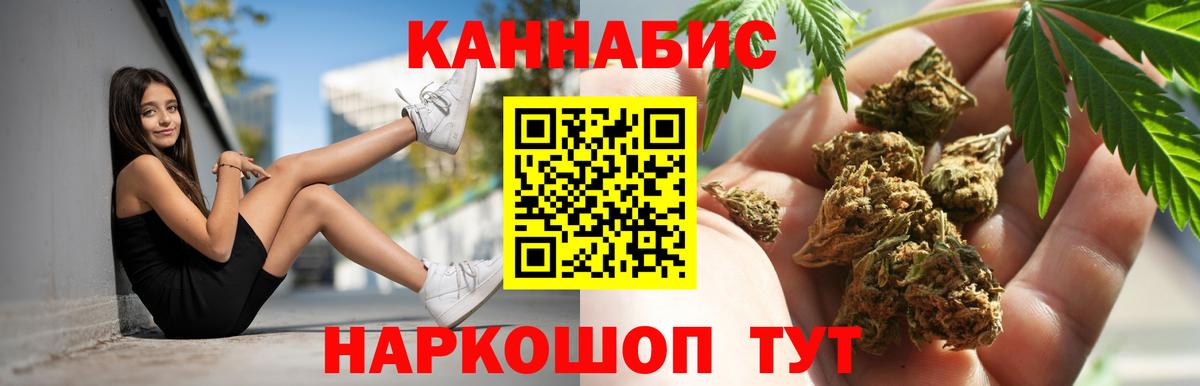 Бошки Шишки планчик Пыть-Ях